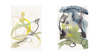 http://actionaqua.com/files/gimgs/th-144_20260225DJI20002 L thumbnail.jpg